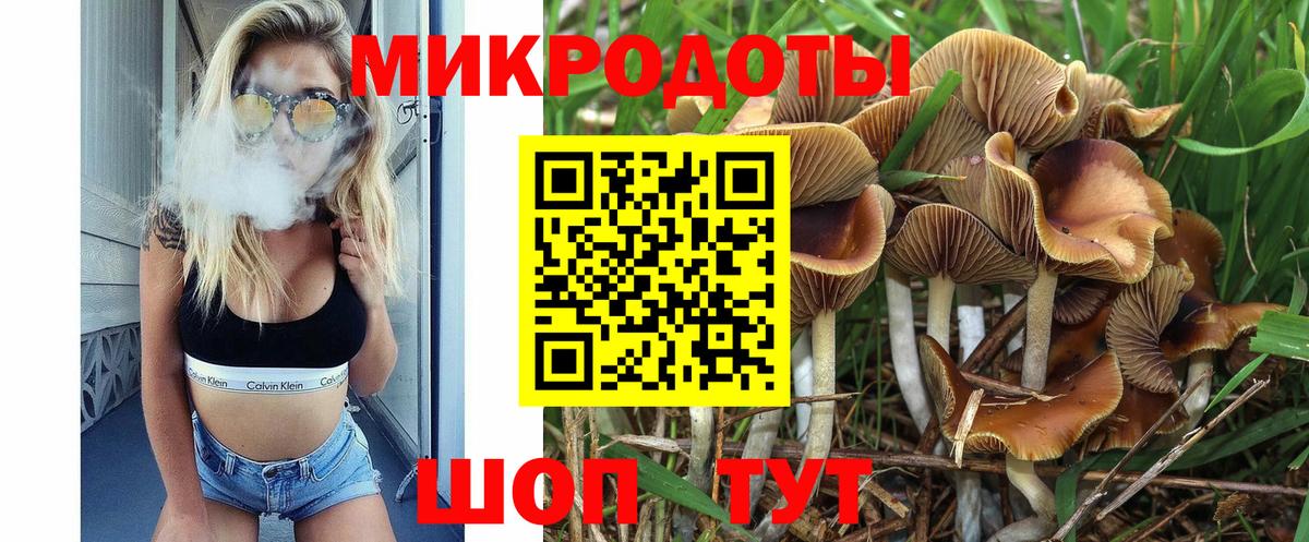 Петропавловск-Камчатский  Псилоцибиновые грибы GOLDEN TEACHER  Вход с VPN  закладка  Псилоцибиновые грибы прущие грибы 